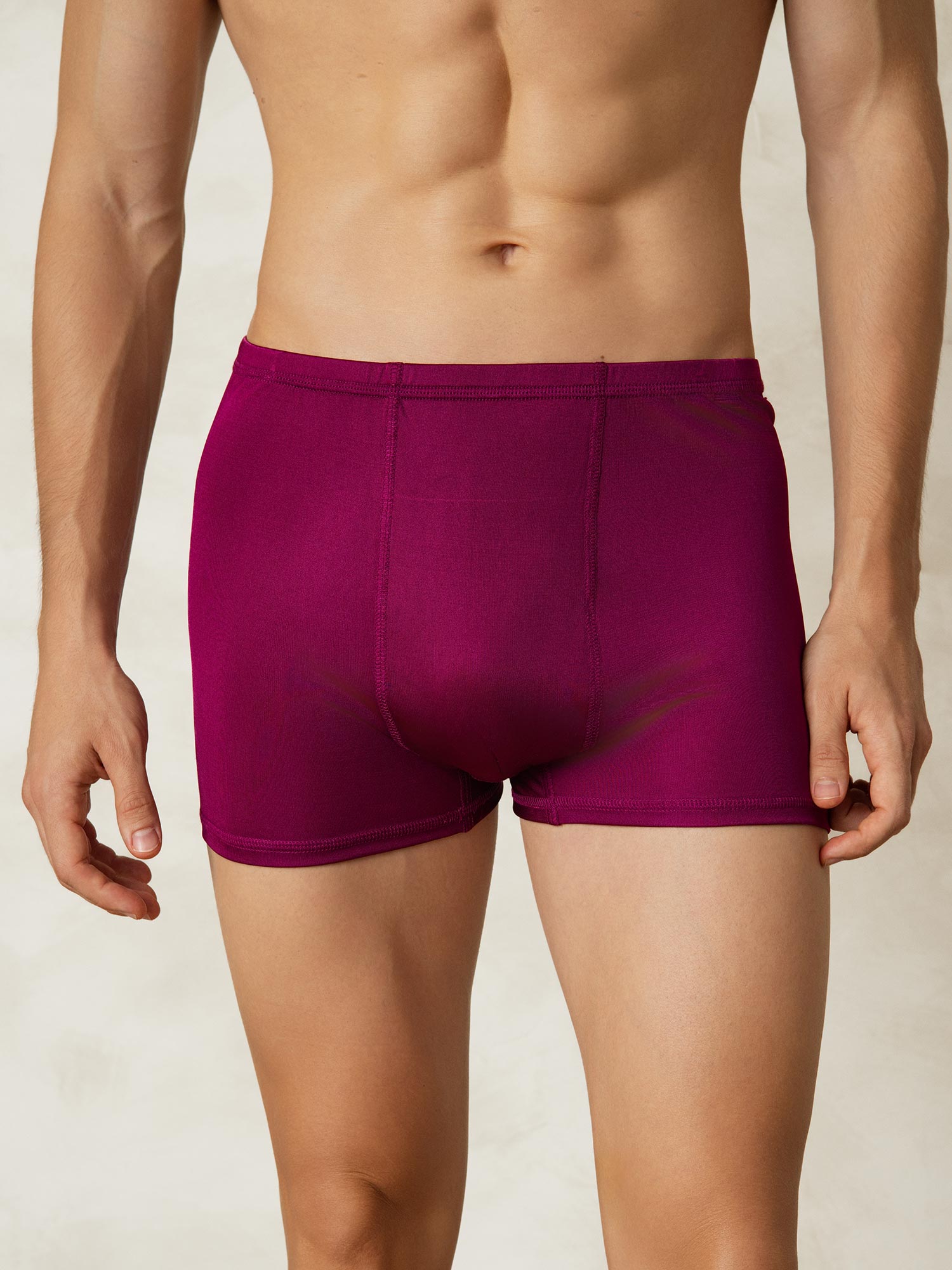 [Wijn] SilkSilky-NL Zijde Gebreid Mens Underwear 001