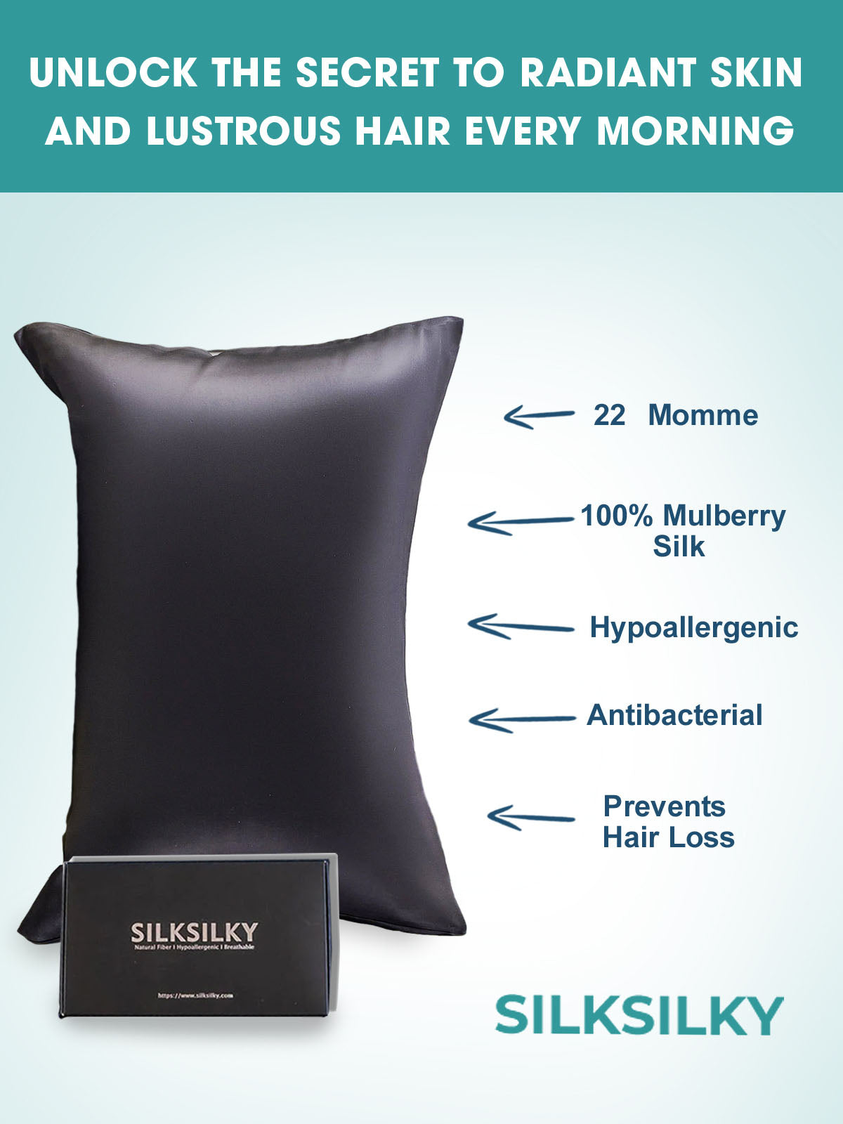 [Zwart] SilkSilky-NL 22Momme Pillowcase 002