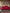 [Wijn] SilkSilky-NL 19Momme Bedding Set 002