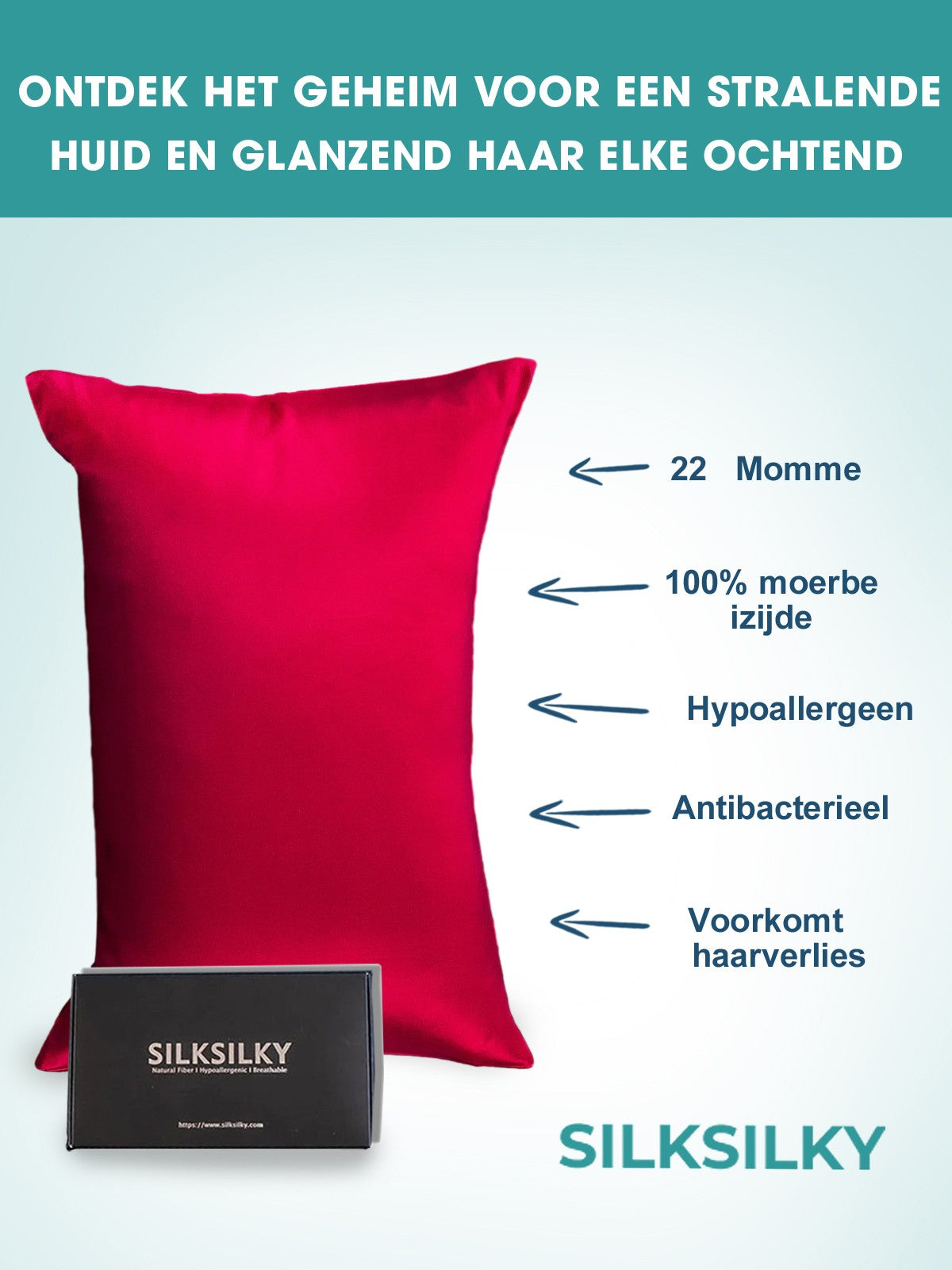 [Wijn] SilkSilky-NL 22Momme Pure Silk Pillowcase 002