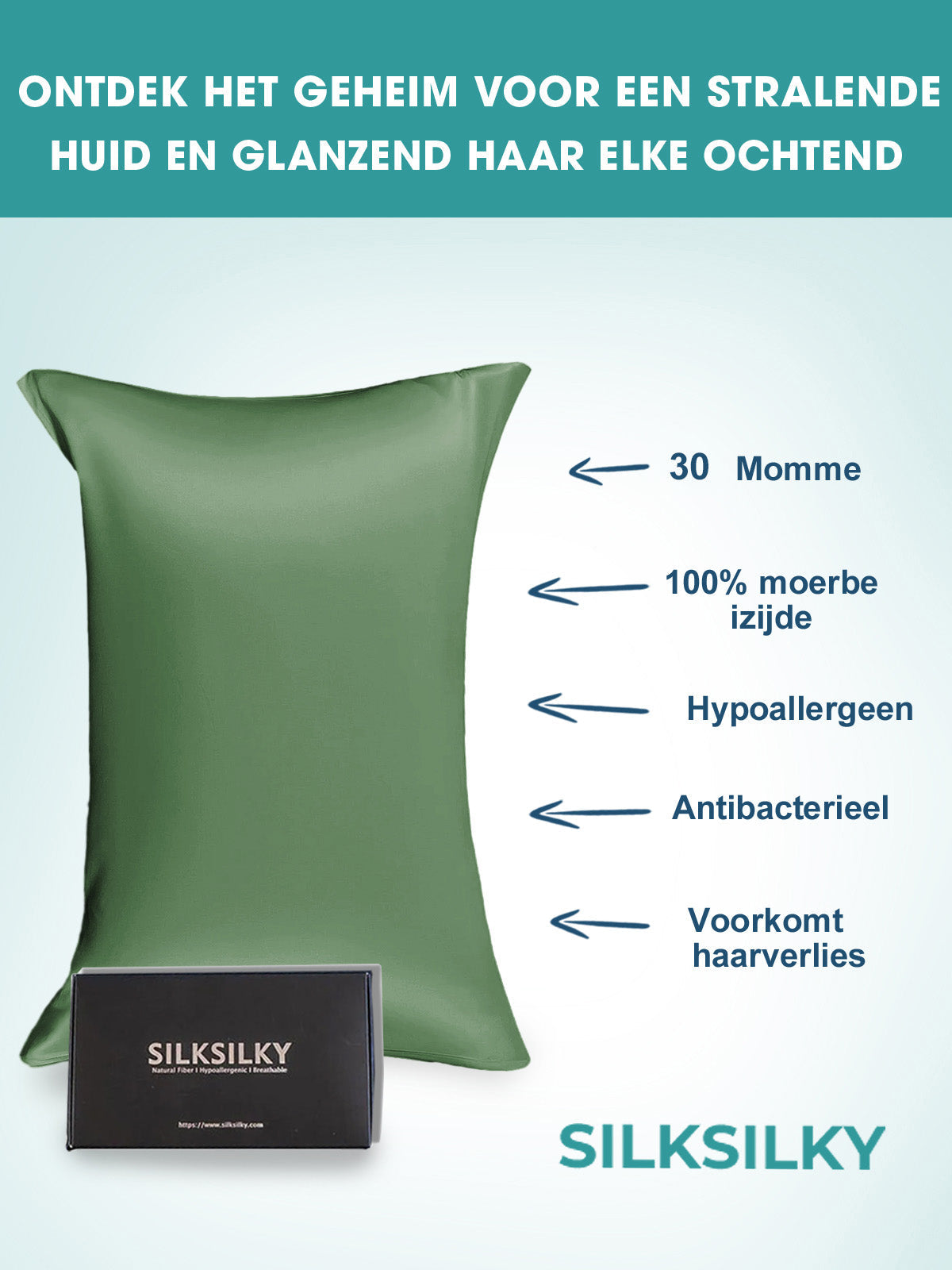 SilkSilky NL 30Momme Pure Silk Pillowcase GrijsachtigGroen 003