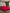 [Wijn] SilkSilky-NL 19Momme Pure Silk Bedding Set 001
