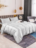 SilkSilky NL 19Momme Pure Silk Bedding Set Zilver 001