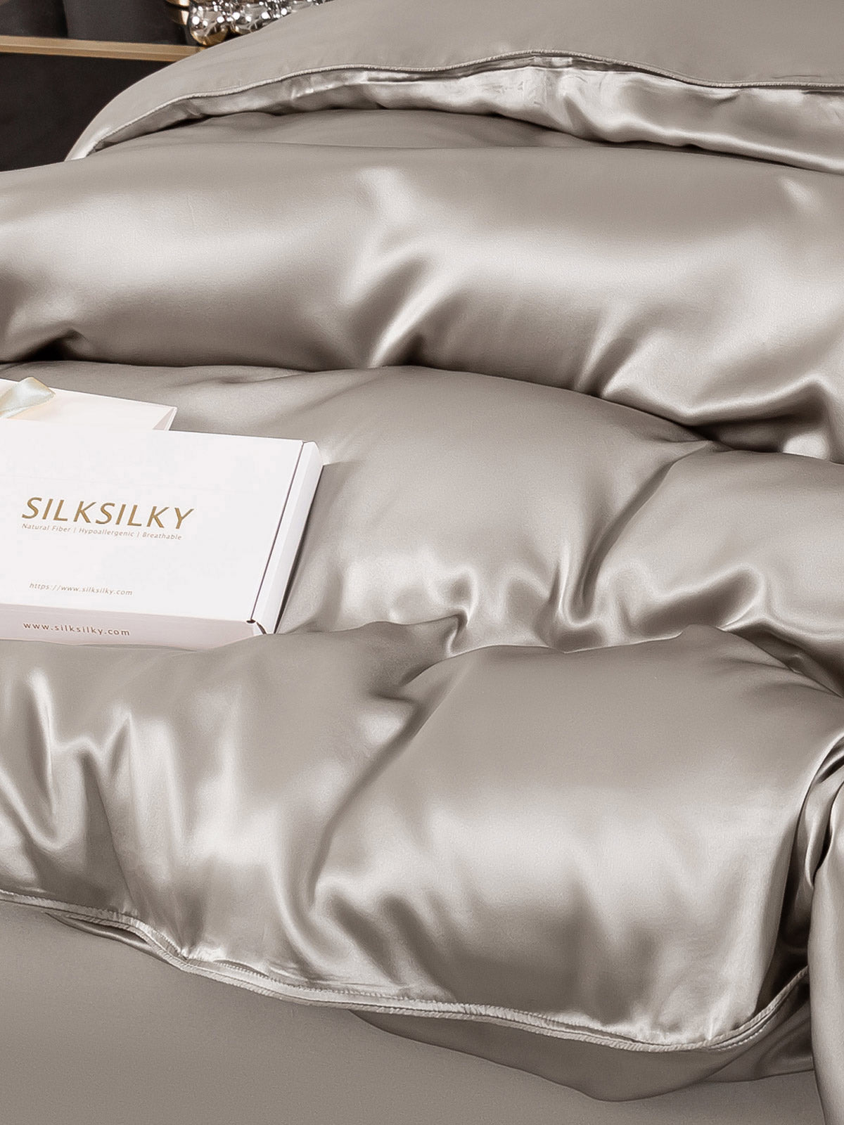 SilkSilky NL 22Momme Pure Silk Duvet Cover Grijs 005