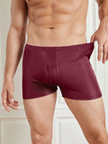 SilkSilky NL Zijde Gebreid Mens Underwear Wijn 004