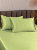 SilkSilky-NL 19Momme Pillowcase Mintgroen 003