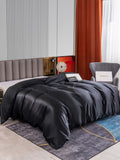 SilkSilky NL 22Momme Pure Silk Duvet Cover Zwart 002