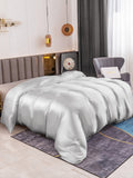 SilkSilky NL 19Momme Pure Silk Duvet Cover Zilver 001