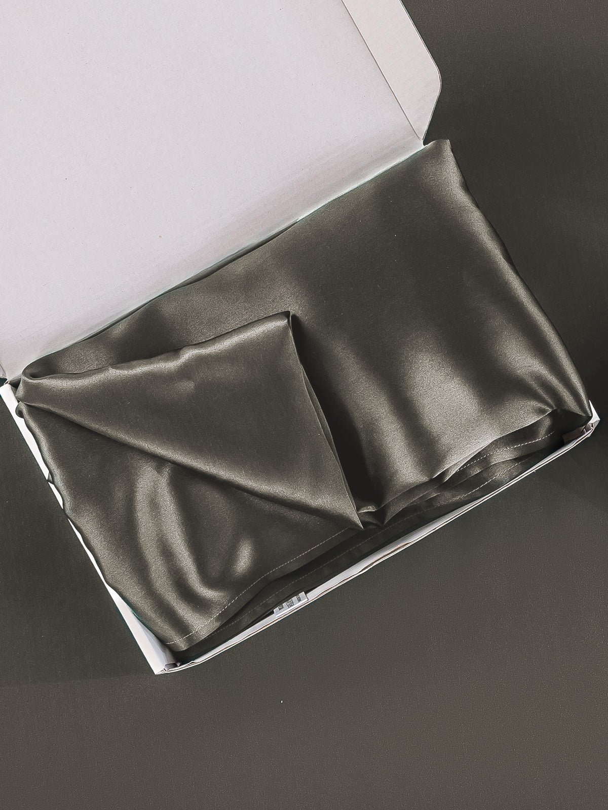 [Donkergrijs] SilkSilky-NL 22Momme Pure Silk Pillowcase 006