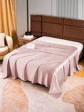 SilkSilky NL 22Momme Pure Silk Sheet BleekMauve 002