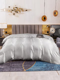 SilkSilky NL 19Momme Pure Silk Duvet Cover Zilver 003