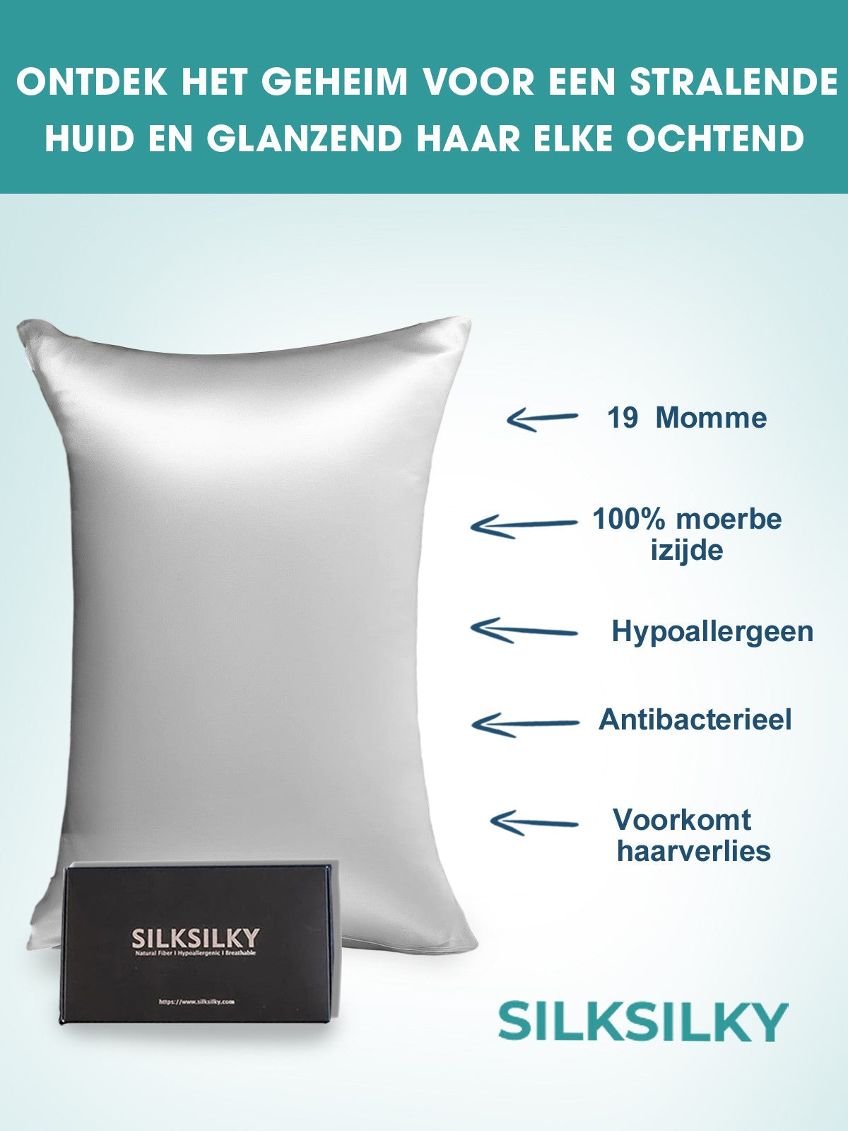 SilkSilky-NL 19Momme Pillowcase Zilver 003