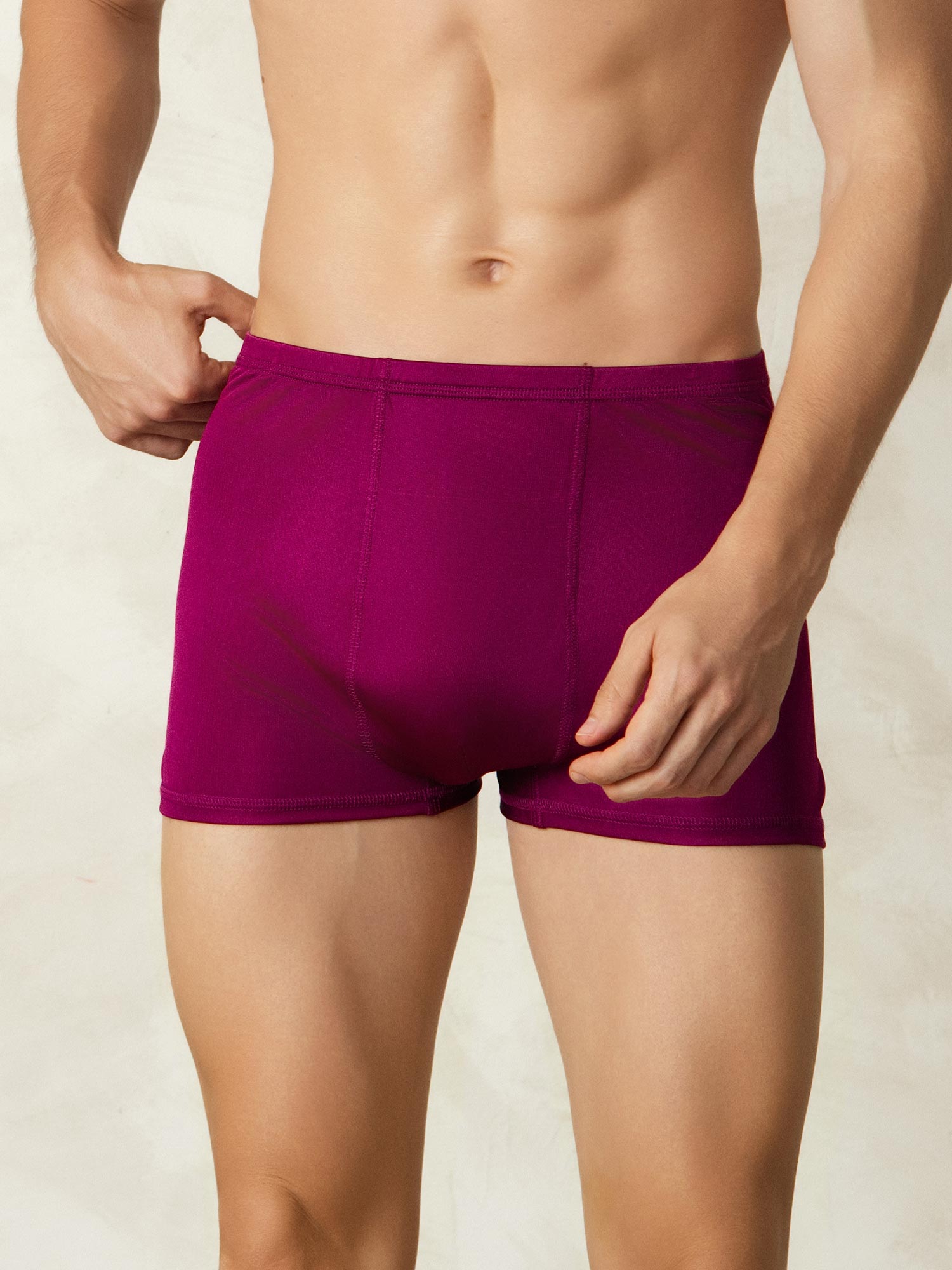 [Wijn] SilkSilky-NL Zijde Gebreid Mens Underwear 003