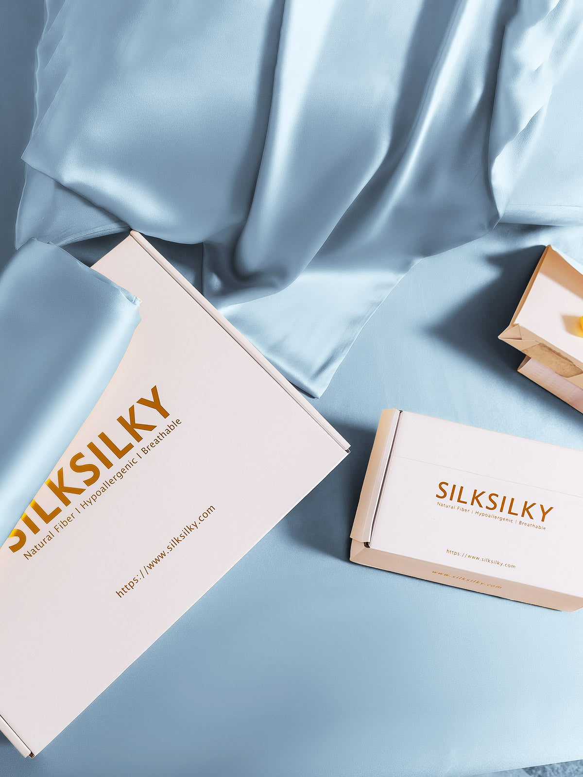 [Lichtblauw] SilkSilky-NL 19Momme Pillowcase 007