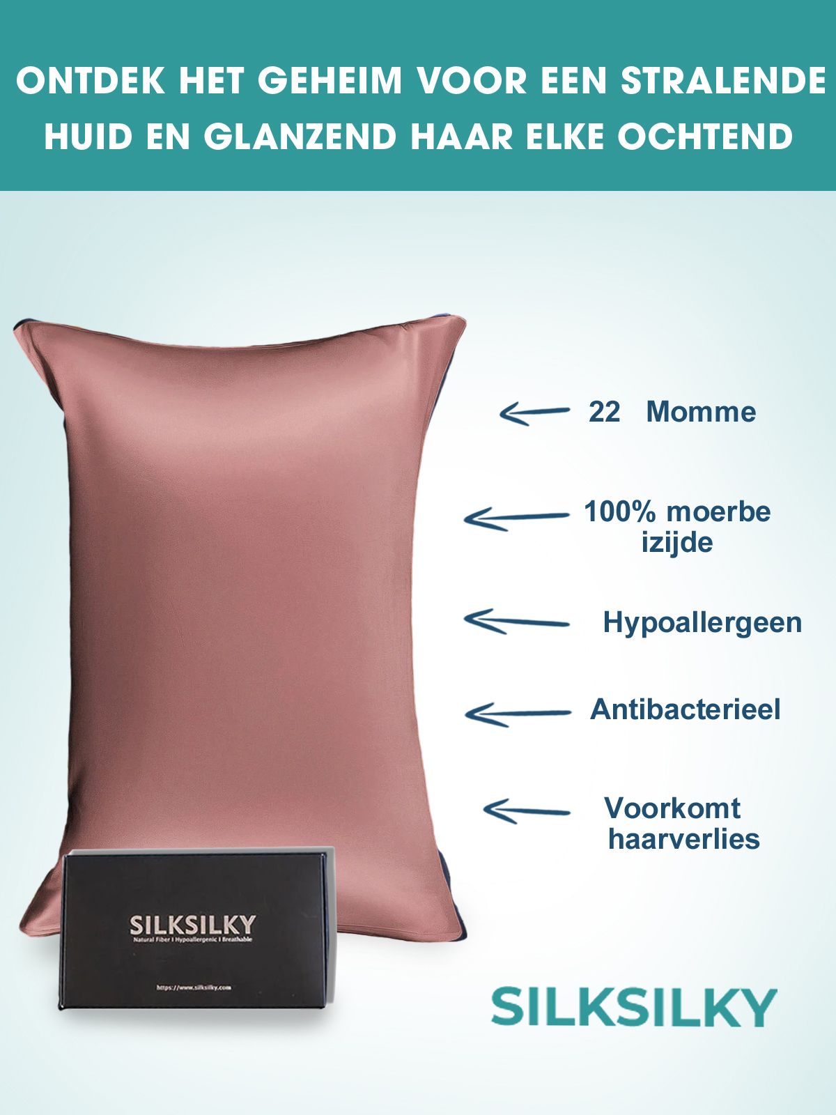[Bleek Mauve] SilkSilky-NL 22Momme Pure Silk Pillowcase 002