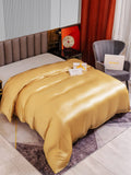 SilkSilky NL 22Momme Pure Silk Duvet Cover Champagne 002