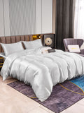 SilkSilky NL 22Momme Pure Silk Bedding Set Zilver 002