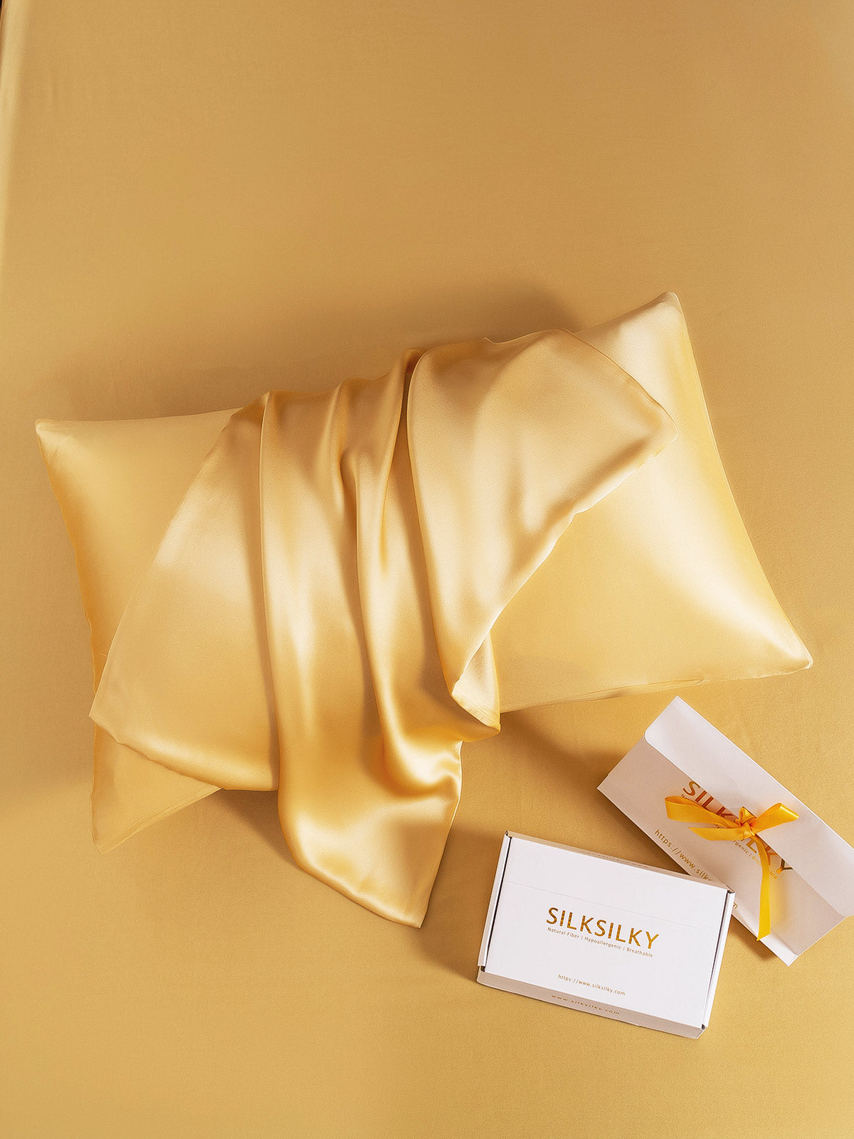 SilkSilky NL 22Momme Pure Silk Pillowcase Champagne 001