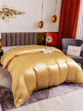 SilkSilky NL 19Momme Pure Silk Duvet Cover Champagne 003