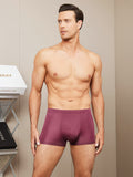 SilkSilky NL Zijde Gebreid Mens Underwear Wijn 001