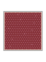 [Wijn] SilkSilky-NL Scarf 001