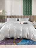 SilkSilky NL 25Momme Pure Silk Bedding Set Zilver 003