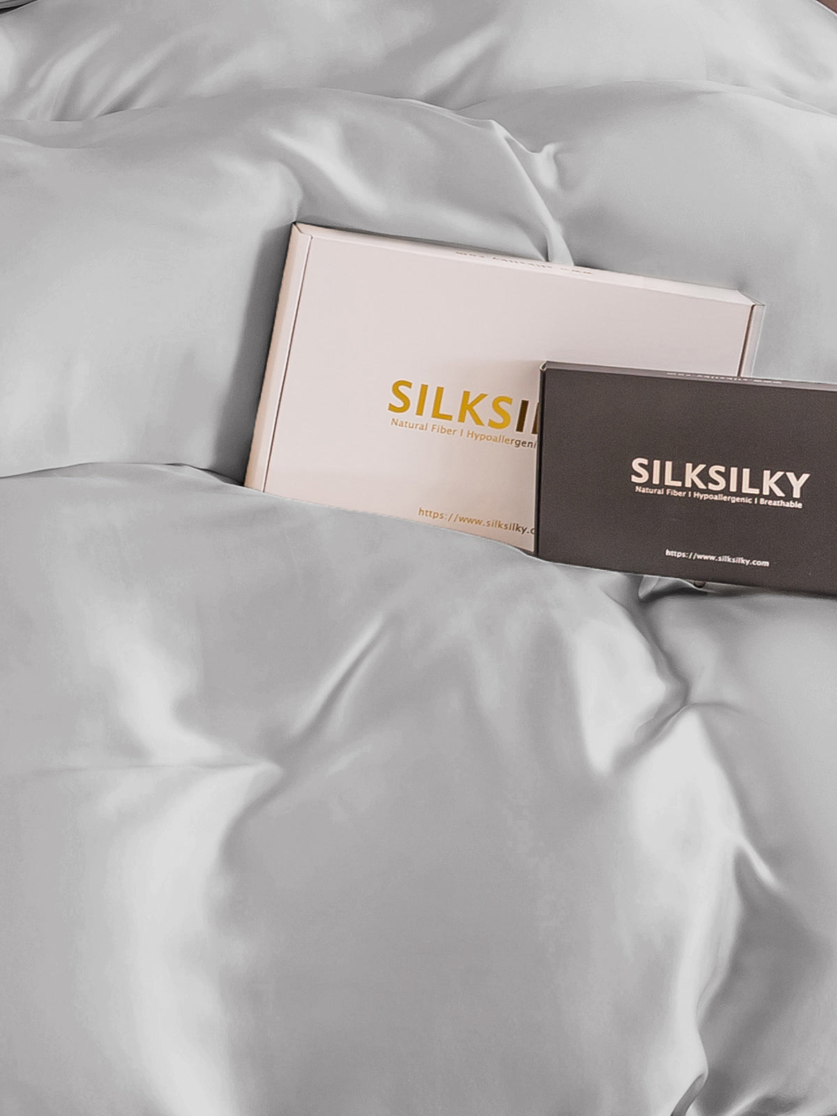 SilkSilky NL 19Momme Pure Silk Duvet Cover Zilver 004