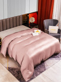 SilkSilky NL 22Momme Pure Silk Duvet Cover BleekMauve 002