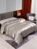 SilkSilky NL 22Momme Pure Silk Duvet Cover Grijs 002