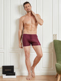 SilkSilky NL Zijde Gebreid Mens Underwear Wijn 003