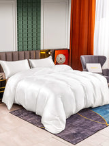 [Wit] SilkSilky-NL 25Momme Bedding Set 001
