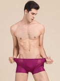 SilkSilky NL Zijde Gebreid Mens Underwear Wijn 003